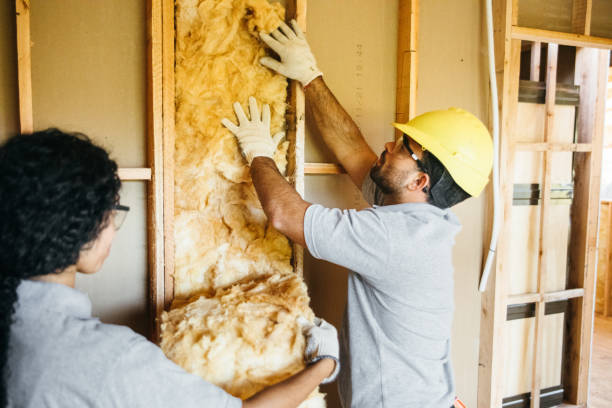 Types of Insulation We Offer in Sardis, MS